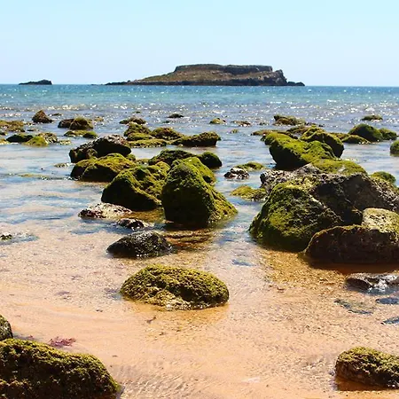 Homestay Sunny With Private Bathroom 300m From The *