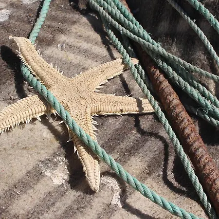 Sunny With Private Bathroom 300m From The *